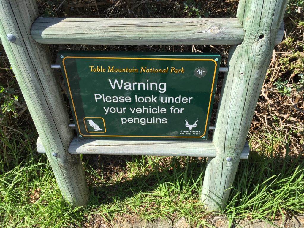 Penguin Safety Sign