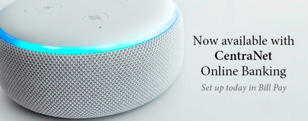 Alexa online hot sale setup